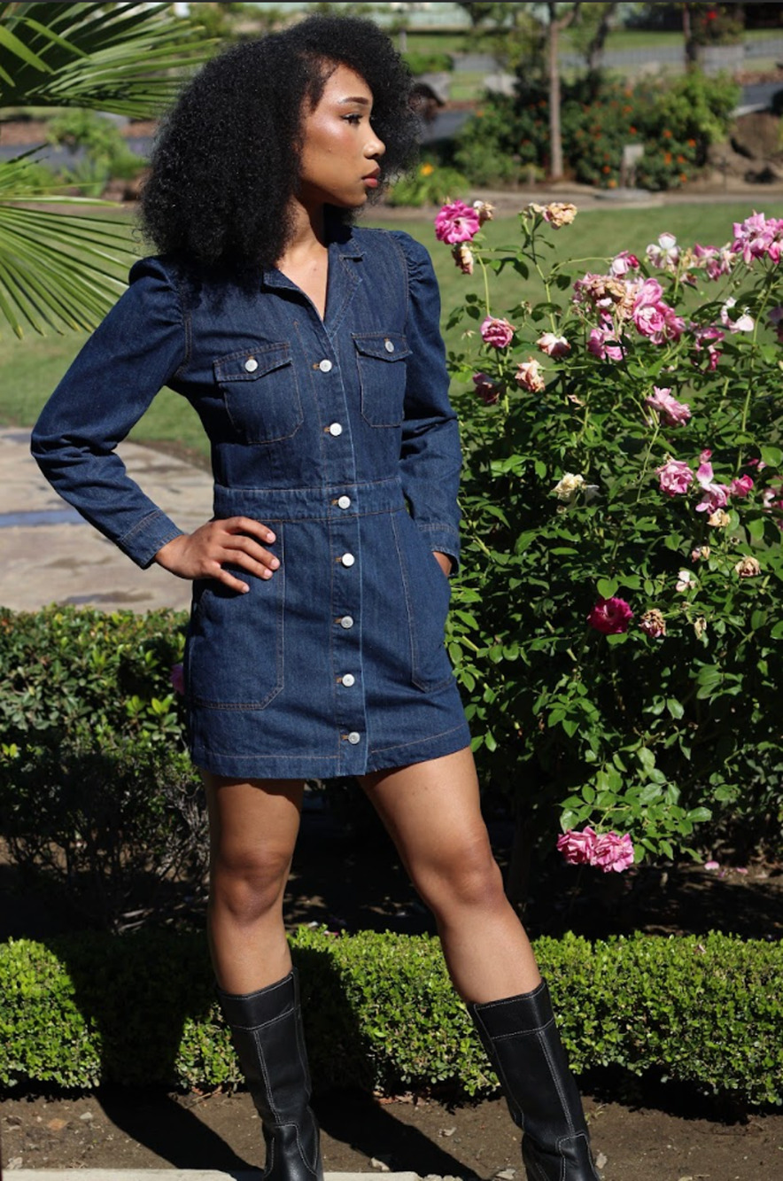 Rails denim dress, size small